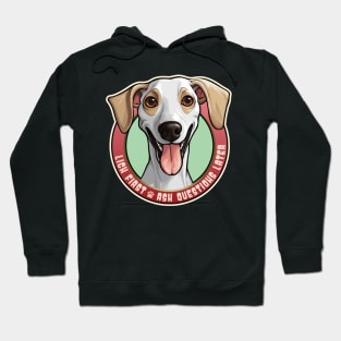 Azawakh Funny Lick First, Ask Questions Later Design Hoodie